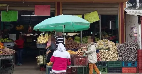 EL REY DE LA COSECHA EL REY DE LA COSECHA